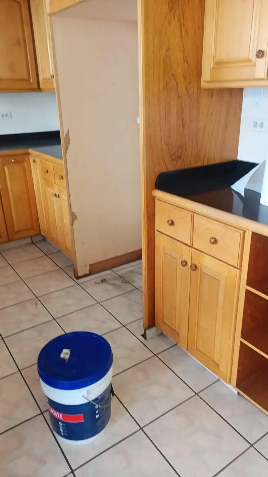 Cocina remodelada con cubierta de cuarzo imagen 4